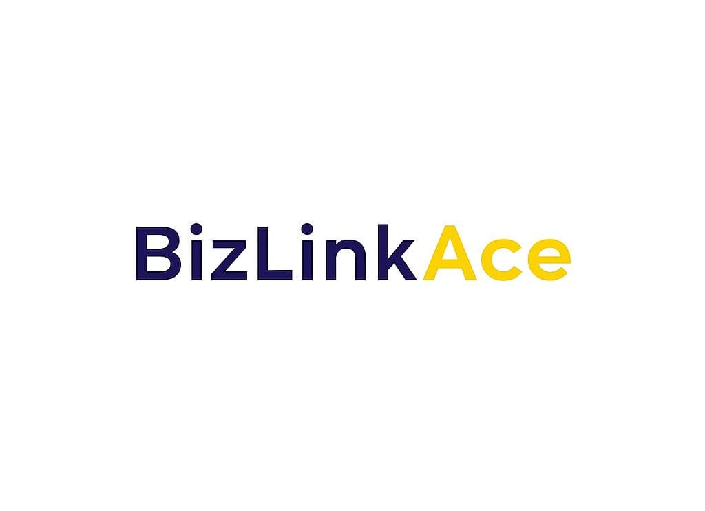 Bizlink Ace Limited - Corporate Services Provider